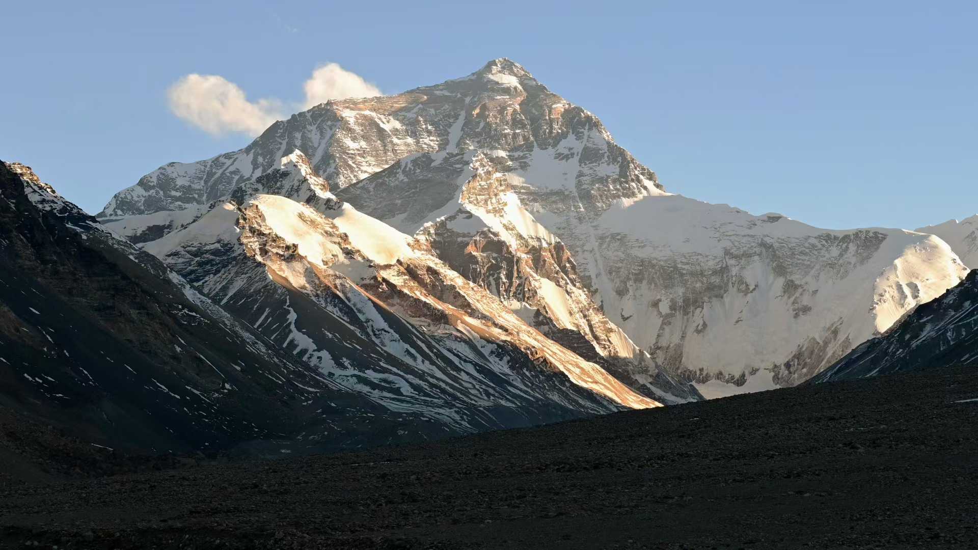 分享好运 见者有份